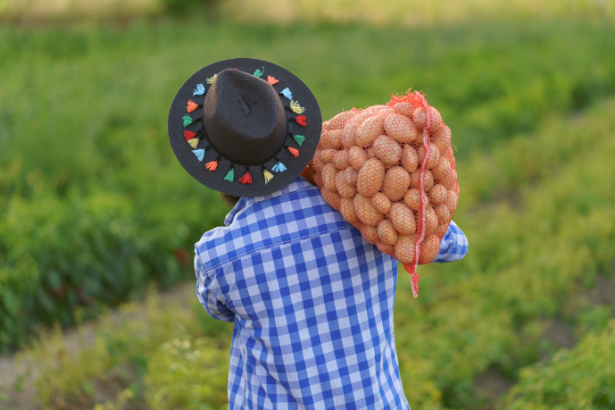 Agropecuária Grama Roxa Ltda