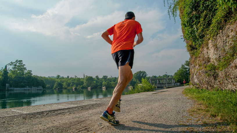Márcio Velho da Silva