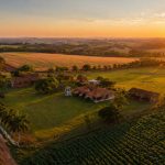 Parajara Moraes Alves Junior