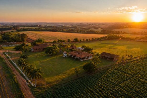 Parajara Moraes Alves Junior