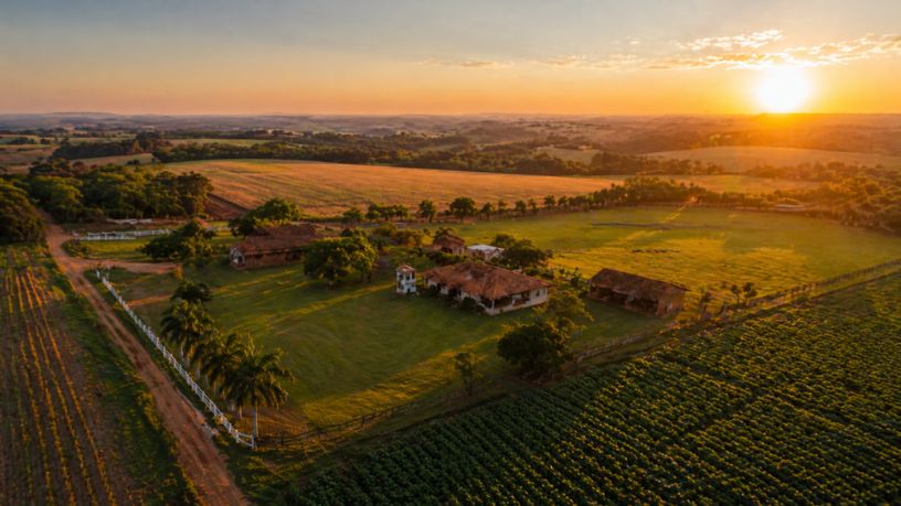 Parajara Moraes Alves Junior