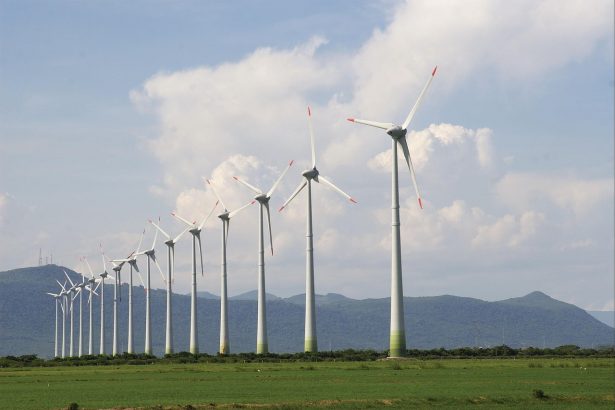 Aerogeradores de um parque eólico em uma paisagem aberta sob o céu claro.
